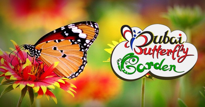 dubai butterfly garden