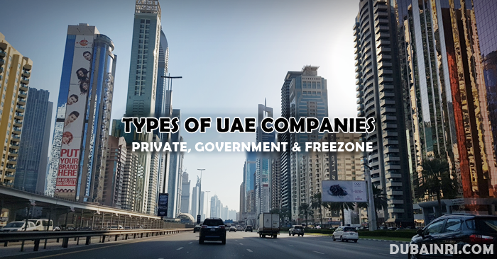 types of companies uae
