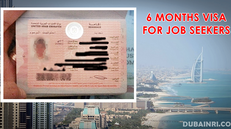 6 months visa job seekers