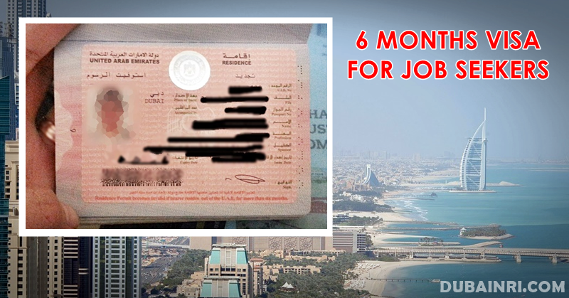 6 months visa job seekers