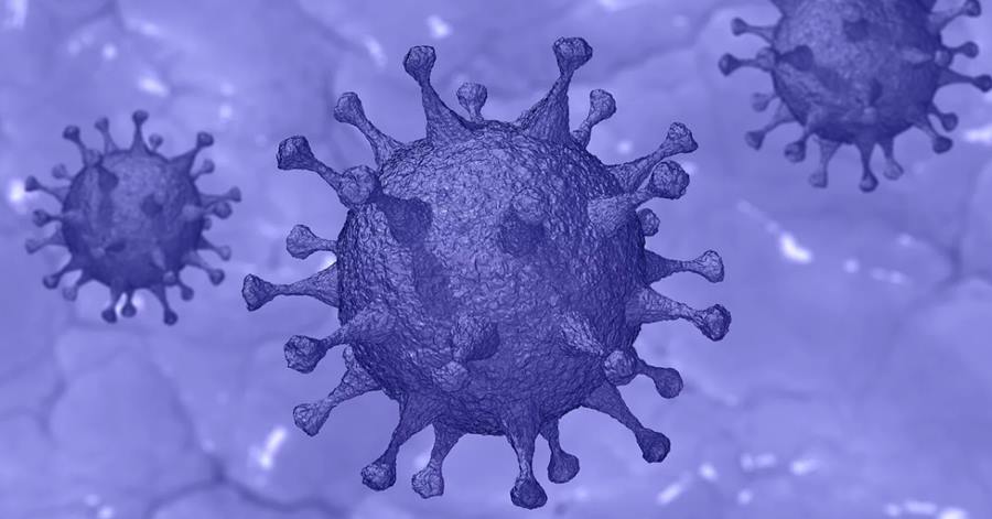 coronavirus cases in uae